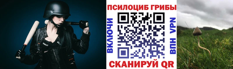kraken вход  Салават  Псилоцибиновые грибы Psilocybe  что такое наркотик 