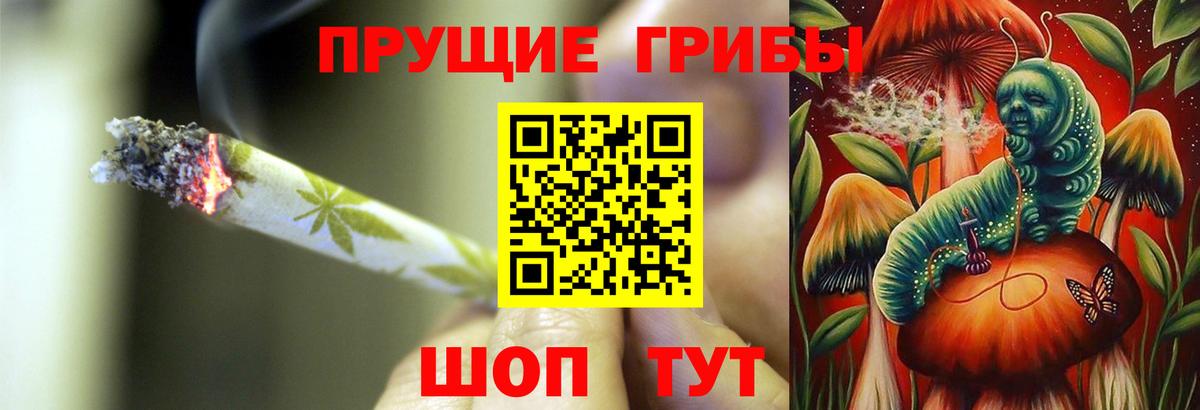 Псилоцибиновые грибы мухоморы Салават