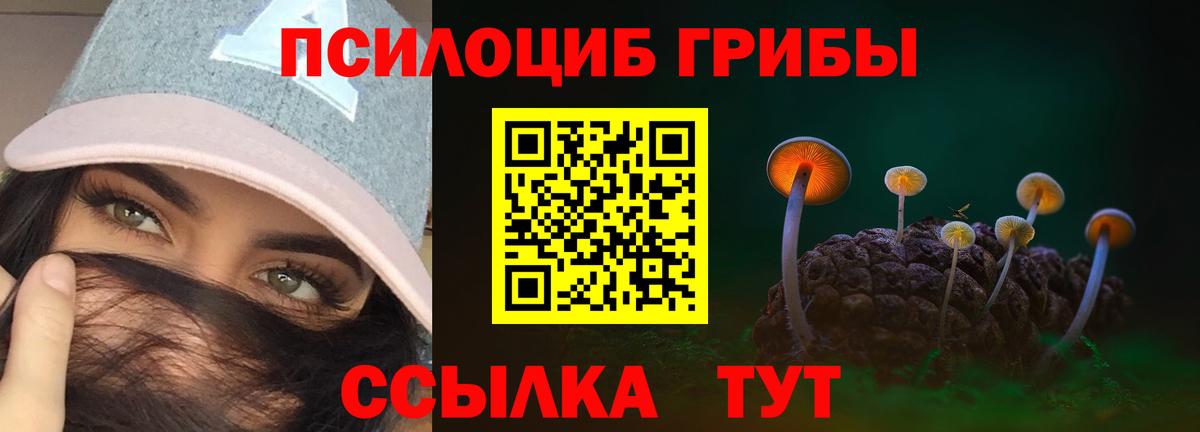 Салават  Галлюциногенные грибы ЛСД  Галлюциногенные грибы Cubensis  Вход с VPN 